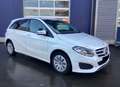 Mercedes-Benz B 220 B 220 d 4Matic 7G-DCT UrbanStyle Edition Wit - thumbnail 5