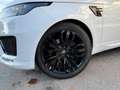 Land Rover Range Rover Sport HSE Dynamic 3.0 SDV6 Blanc - thumbnail 12