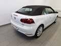 Volkswagen Golf VW Golf Rabbit Cabriolet BMT TSI Weiß - thumbnail 4