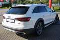 Audi A4 Avant 40 TDI Quattro Allroad Aut. LED Navi AHK Bianco - thumbnail 6