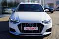 Audi A4 Avant 40 TDI Quattro Allroad Aut. LED Navi AHK Bianco - thumbnail 9