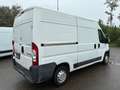 Peugeot Boxer Boxer 335 2.2 HDi/130CV FAP PM-TM Furgone Blanc - thumbnail 5