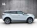 Land Rover Range Rover Evoque P300e SE Winter-Paket ACC 20Zoll Blanc - thumbnail 8