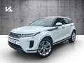 Land Rover Range Rover Evoque P300e SE Winter-Paket ACC 20Zoll Blanc - thumbnail 1