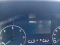 Ford Transit Transit 350 2.0TDCi EcoBlue 170CV PL RWD Cab.Trend Blanc - thumbnail 10