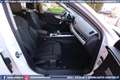 Audi A4 allroad 40 TDI quattro Stronic Business GANCIO TRAINO Blanc - thumbnail 36