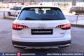 Audi A4 allroad 40 TDI quattro Stronic Business GANCIO TRAINO Blanc - thumbnail 23