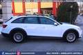 Audi A4 allroad 40 TDI quattro Stronic Business GANCIO TRAINO Blanc - thumbnail 5
