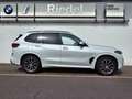 BMW X5 xDrive40i M Sportpaket*PanoSky*AHK*DAPro*h/k* Wit - thumbnail 2