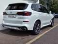 BMW X5 xDrive40i M Sportpaket*PanoSky*AHK*DAPro*h/k* Wit - thumbnail 4