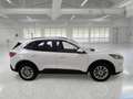 Ford Kuga 1.5 EcoBlue 120CV 2WD Titanium Business Auto - thumbnail 3