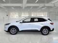 Ford Kuga 1.5 EcoBlue 120CV 2WD Titanium Business Auto - thumbnail 5