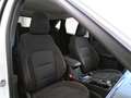 Ford Kuga 1.5 EcoBlue 120CV 2WD Titanium Business Auto - thumbnail 10