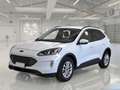 Ford Kuga 1.5 EcoBlue 120CV 2WD Titanium Business Auto - thumbnail 1