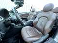 Mercedes-Benz CLK 500 Cabrio V8 5.5 AMG GRAND EDITION *TRAUM* Gris - thumbnail 19