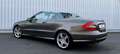 Mercedes-Benz CLK 500 Cabrio V8 5.5 AMG GRAND EDITION *TRAUM* Szary - thumbnail 5