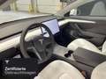 Tesla Model 3 Performance Wit - thumbnail 10