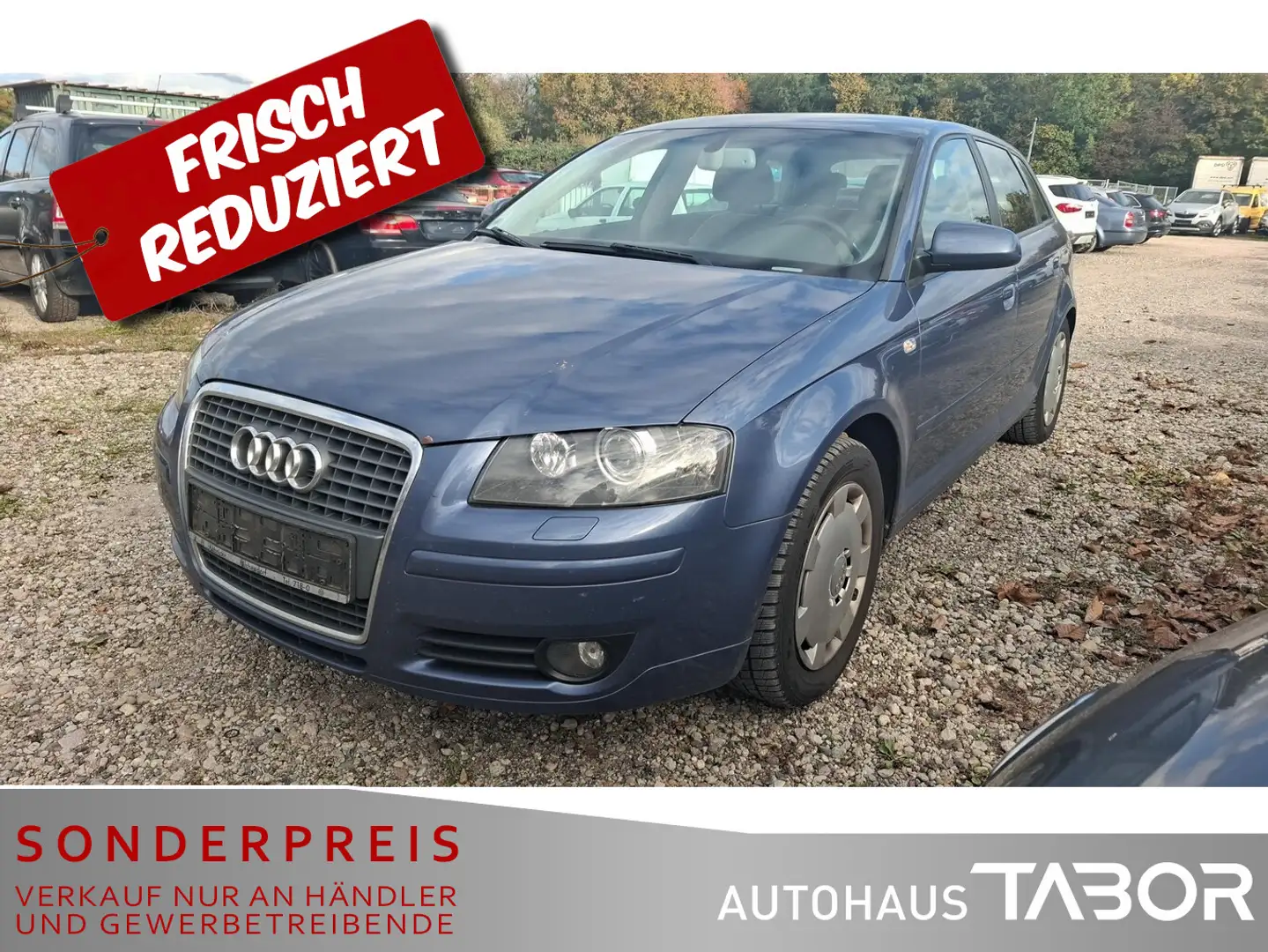 Audi A3 SB 2.0 TDI Ambiente Navi Xen SHZ LM PDC GRA Violett - 1