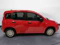 Fiat Panda 1.0 FireFly Hybrid Rosso - thumbnail 8