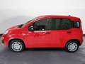 Fiat Panda 1.0 FireFly Hybrid Rosso - thumbnail 7
