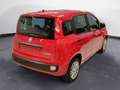 Fiat Panda 1.0 FireFly Hybrid Rosso - thumbnail 6