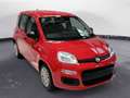Fiat Panda 1.0 FireFly Hybrid Rosso - thumbnail 3