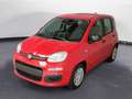 Fiat Panda 1.0 FireFly Hybrid Rosso - thumbnail 1