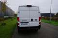 Fiat Ducato 2.2 MultiJet 140 L3H2 3.5t Heavy in Topstaat |Beti Wit - thumbnail 16