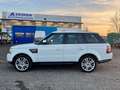 Land Rover Range Rover Sport 3.0 SDV6 HSE TETTO Blanc - thumbnail 5