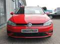 Volkswagen Golf Variant 1.0 TSI Trendline Červená - thumbnail 3