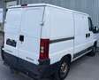 Peugeot Boxer TD (290 C) Blanc - thumbnail 16