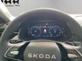 Skoda Kamiq 130 Jahre Premium (AHK.DAB.PDC.GRA.SHZ.Virtual Coc Grau - thumbnail 14
