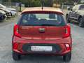 Kia Picanto Edition 7 Orange - thumbnail 7