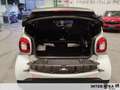 smart forTwo Cabrio eq Prime nightsky Weiß - thumbnail 6