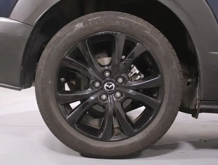 Mazda CX-30 (2022) e-SKYACTIV X 2.0 MT 2WD Homura 2022, foto 8