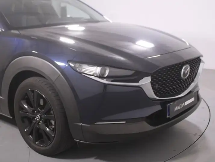 Mazda CX-30 (2022) e-SKYACTIV X 2.0 MT 2WD Homura 2022, foto 16