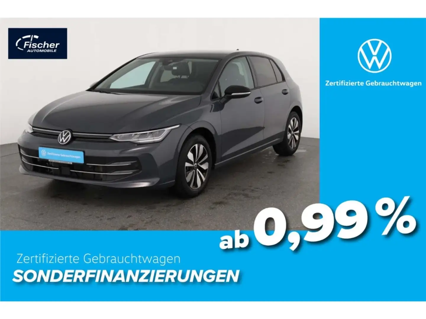 Volkswagen Golf 1.5 TSI Goal 6-Gg. AHK/LED/NAV/DC/ACC/PDC Grau - 1