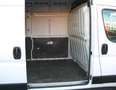Fiat Ducato 120PS*L2H2*Klima*PDC*3,3to*Euro 6d-TEMP* Weiß - thumbnail 14