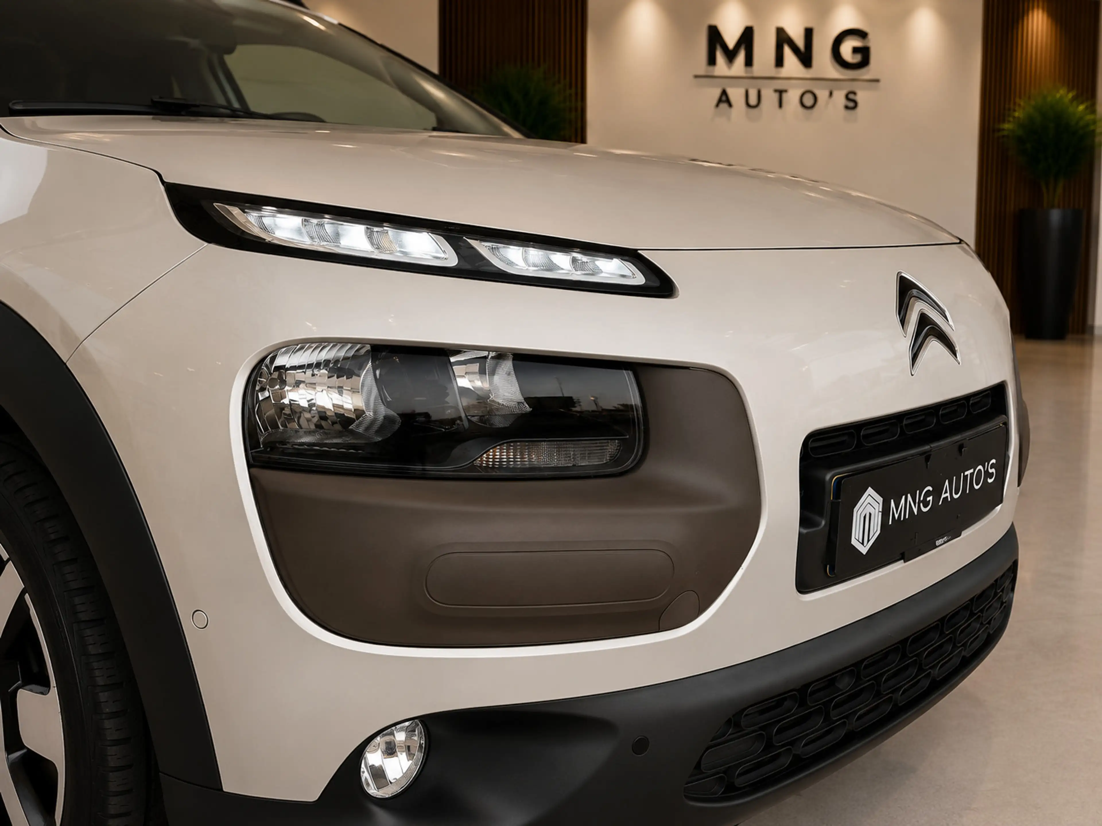 Citroen C4 Cactus 1.2|PANO|Camera|St.Verwarming|Parkassist|Vol| — photo 8