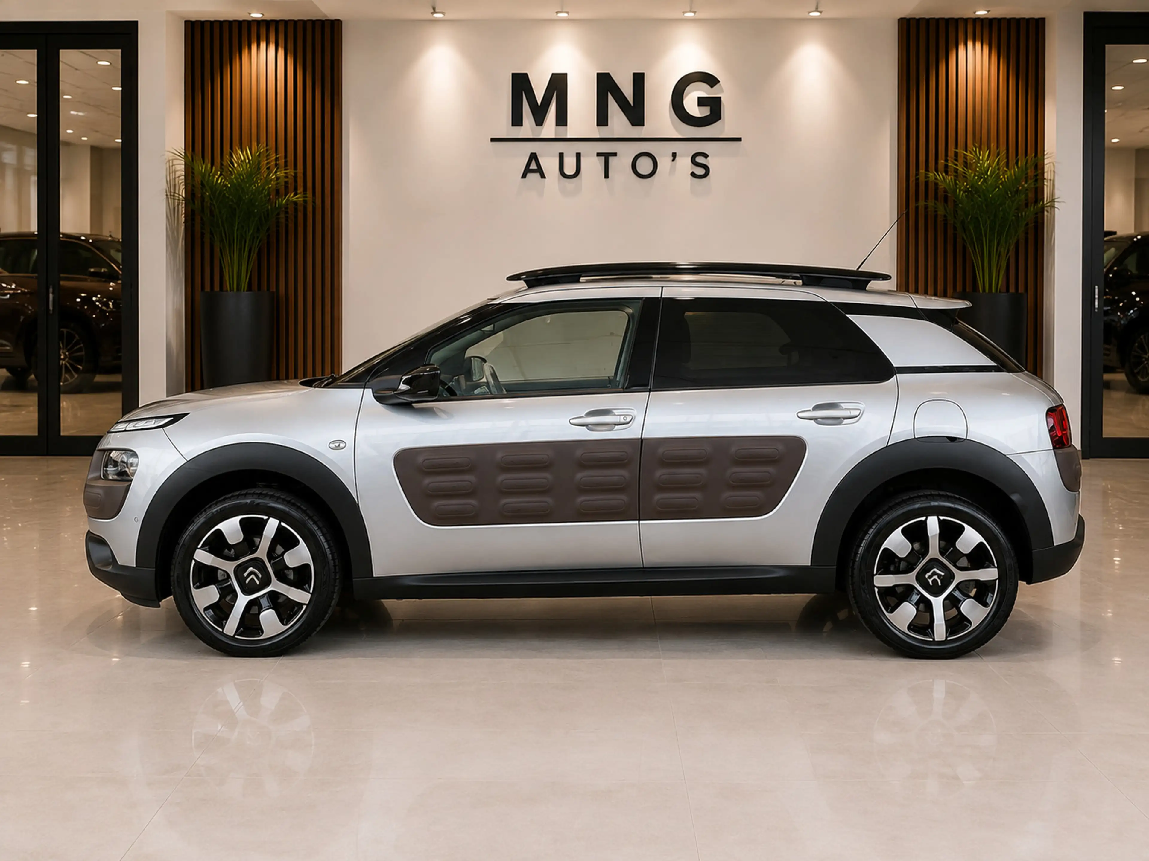 Citroen C4 Cactus 1.2|PANO|Camera|St.Verwarming|Parkassist|Vol| — photo 7