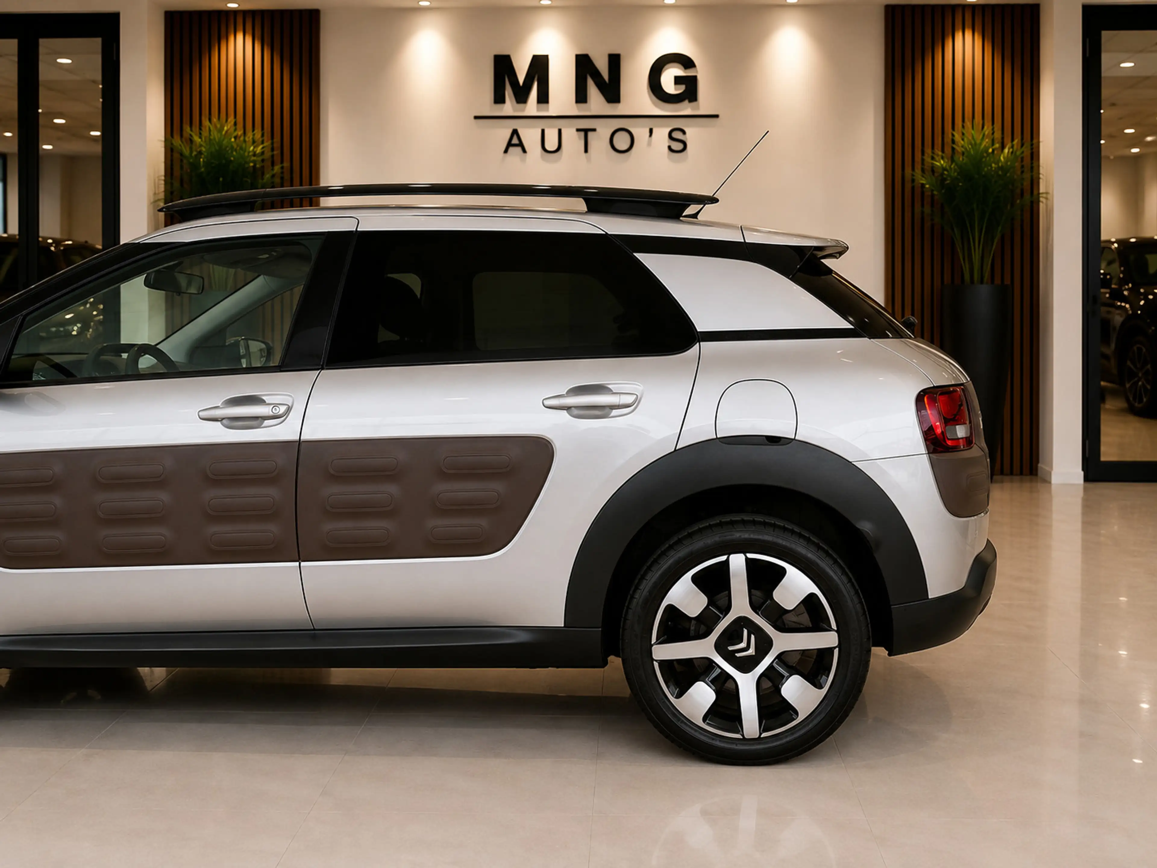 Citroen C4 Cactus 1.2|PANO|Camera|St.Verwarming|Parkassist|Vol| — photo 10