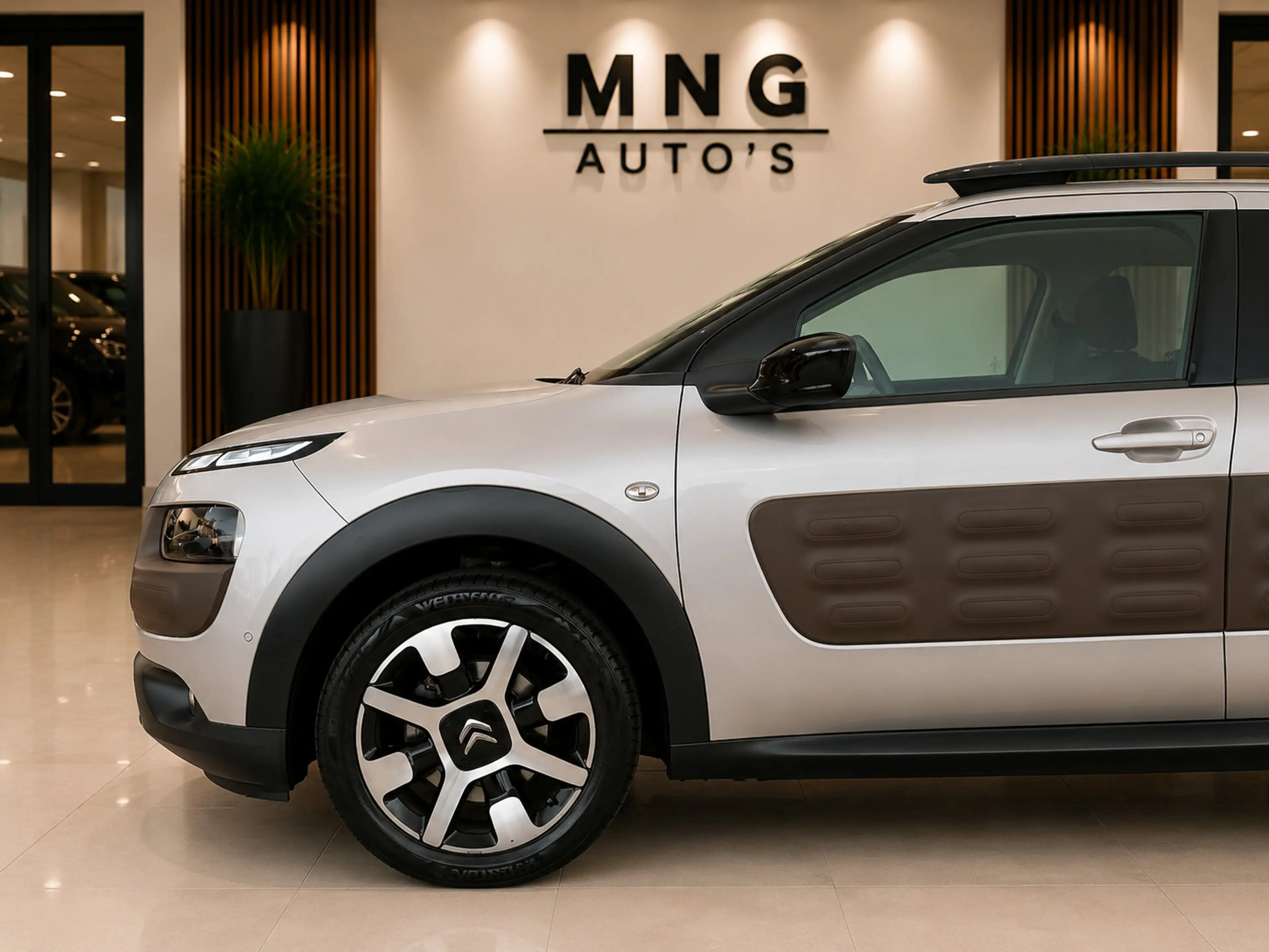 Citroen C4 Cactus 1.2|PANO|Camera|St.Verwarming|Parkassist|Vol| — photo 9