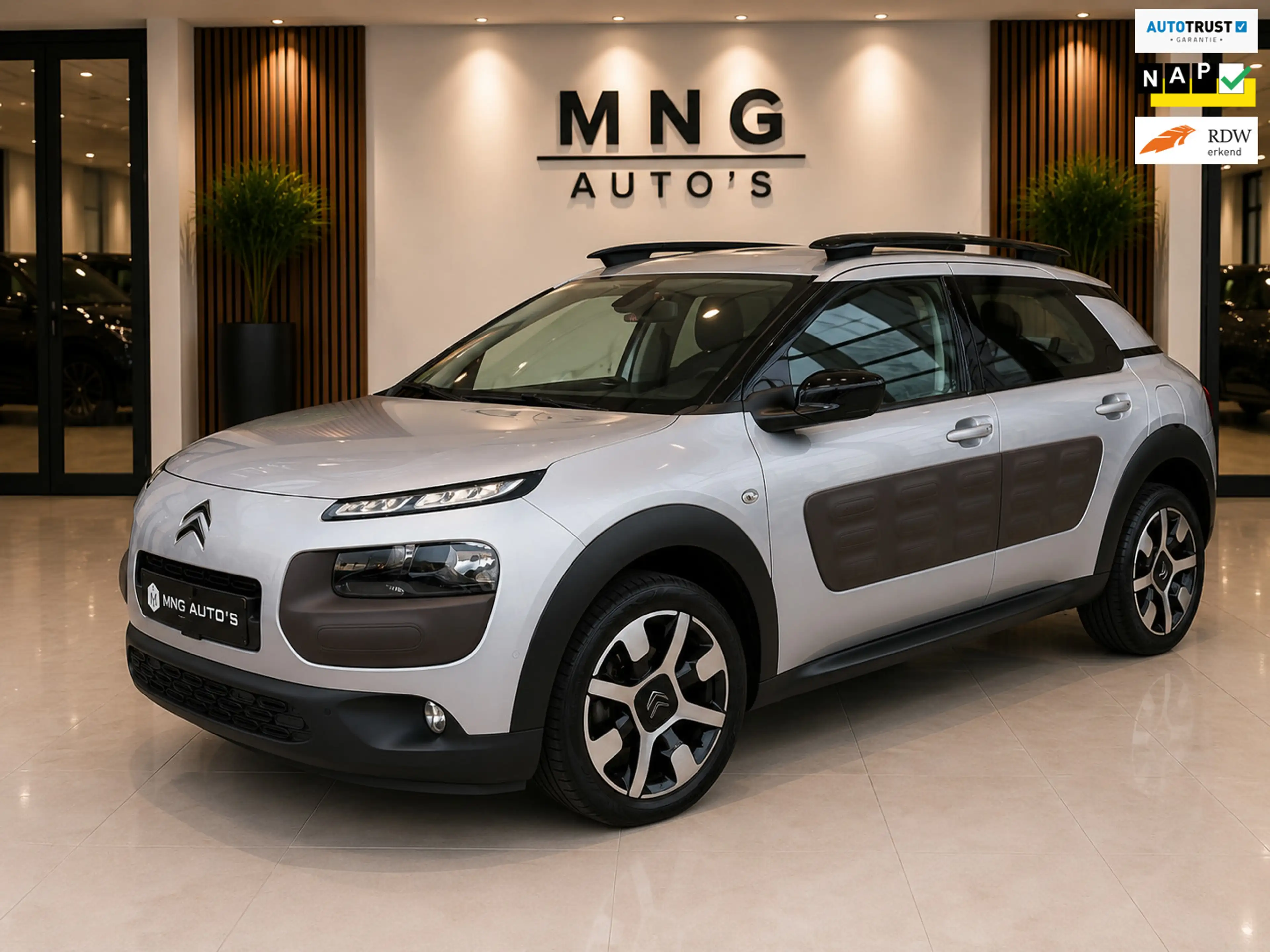 Citroen C4 Cactus 1.2|PANO|Camera|St.Verwarming|Parkassist|Vol|