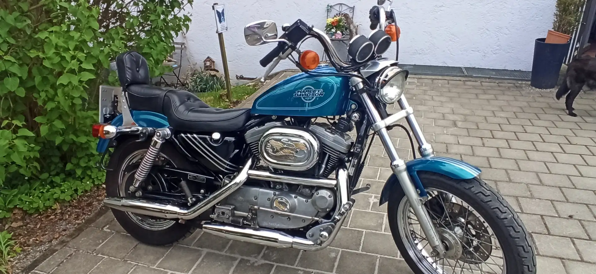 Harley-Davidson Sportster 1200 Sportster 1200 XL/2 - 1