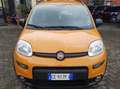 Fiat Panda 1.0  hybrid City life Pomarańczowy - thumbnail 1