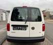 Volkswagen Caddy Nfz Maxi Kasten/Motor läuft unruhig Weiß - thumbnail 6