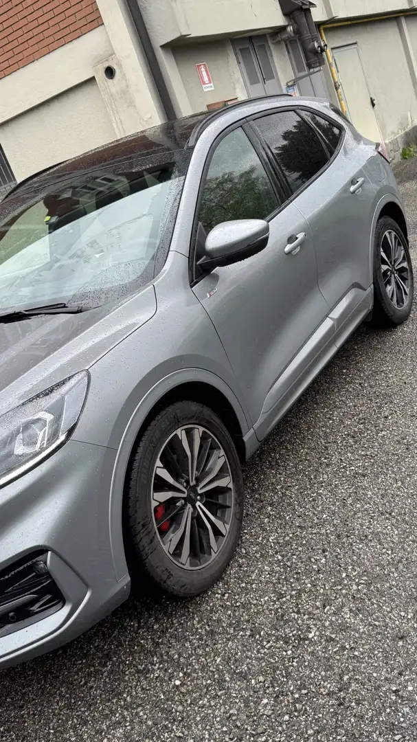 Ford Kuga Kuga 2.0 ecoblue ST-Line 2wd 120cv auto Silber - 2