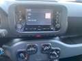 Fiat New Panda Panda 1.0 firefly hybrid s&s 70cv White - thumbnail 7