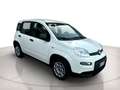 Fiat New Panda Panda 1.0 firefly hybrid s&s 70cv Bianco - thumbnail 1