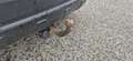 Fiat Sedici Sedici 1,6 16V Allrad Silber - thumbnail 11